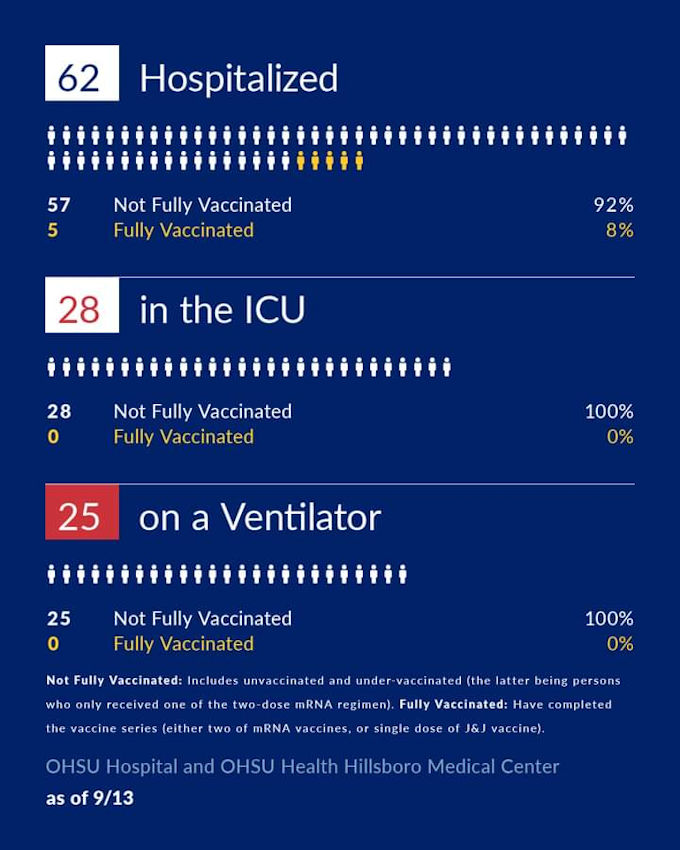 Hospital Cases Covid